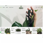 Vivaio Piante e Fiori Garden Center Oggettistica Casal Velino (Salerno) 84040 Via Ponte, 30 Pino Casa e Giardino